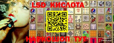 ГАЛЛЮЦИНОГЕННЫЕ ГРИБЫ Кулебаки